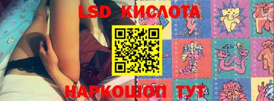 ALPHA PVP Аргун