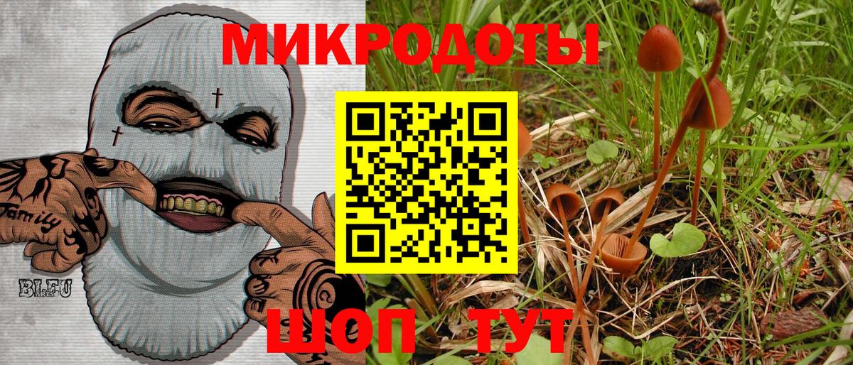 Псилоцибиновые грибы Cubensis Воркута